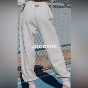 Daily Drills Light Green Joggers